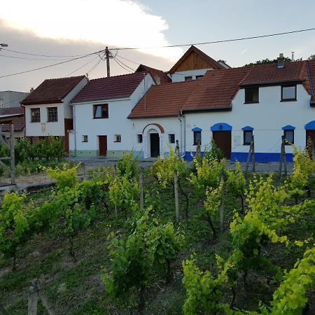 Vinny Sklep Kravi Hora Bořetice Dış mekan fotoğraf