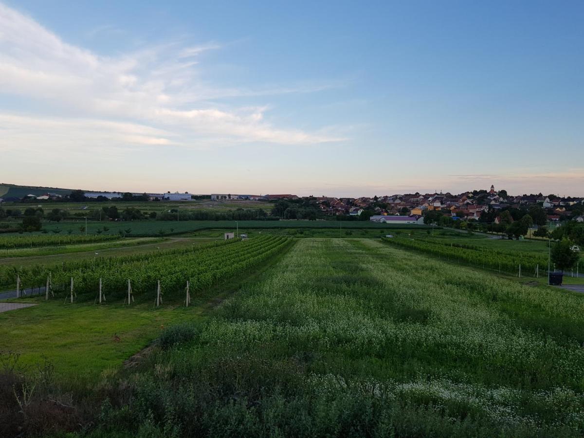 Vinny Sklep Kravi Hora Bořetice Dış mekan fotoğraf